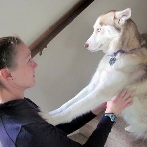 Meet your Posher, Regina